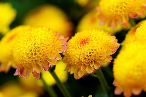 带俊字的情侣网名大全