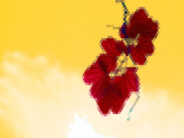 带铭和妞的网名