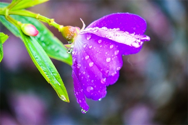 恭祝公司发展的祝福语