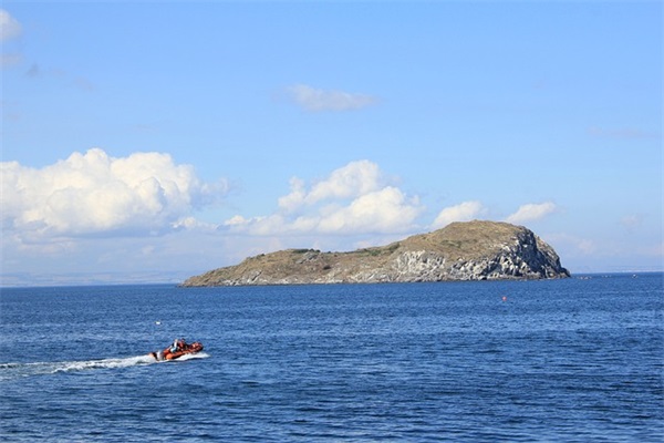 室友结婚祝福语 室友结婚的祝福语 室友结婚祝福语 室友结婚的祝福语