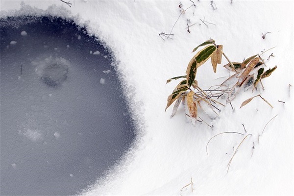 奶奶80岁简短祝福语 奶奶80岁简短祝福语