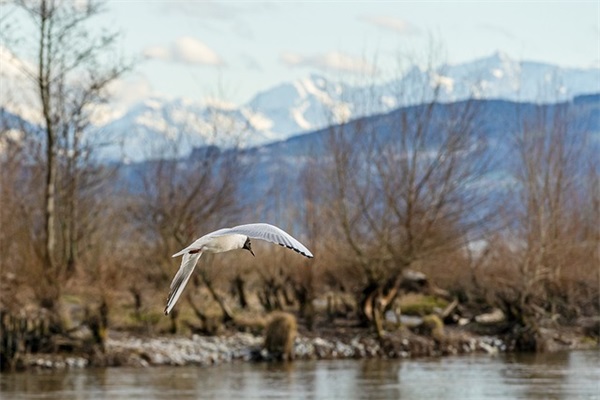 祝姐姐新婚快乐祝福语(祝姐姐新婚快乐的句子简短)