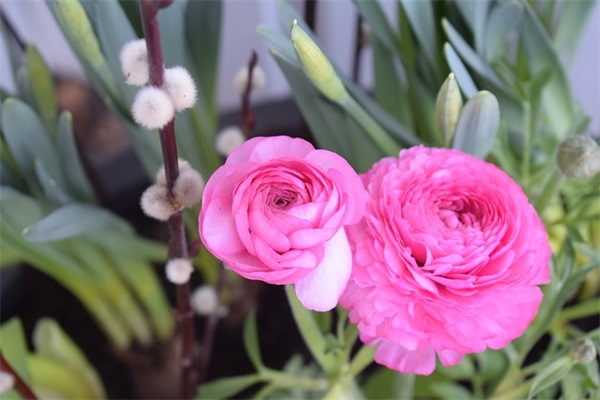 关于形容爱一个人入骨的句子精选102条(全网精选) 关于形容爱一个人入骨的句子精选102条(全网精选)