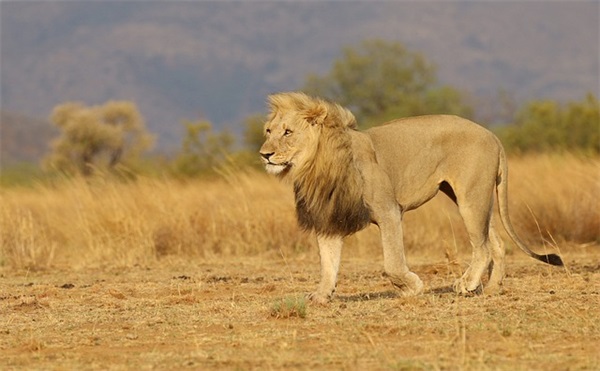 青春句子(精选推荐) 青春句子(精选推荐)