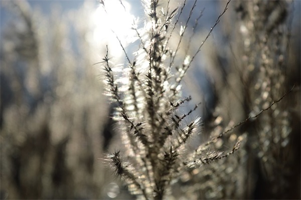 有关高情商生日快乐简短句子(生日高情商简短句子)