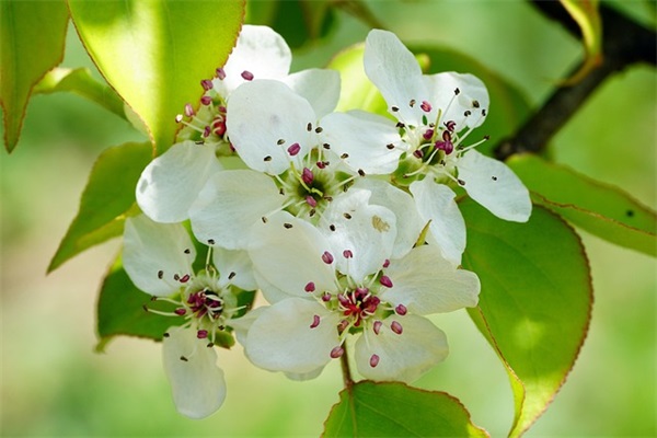 2025年高考生冲刺句子(精选100句) 2025年高考生冲刺句子(精选100句)