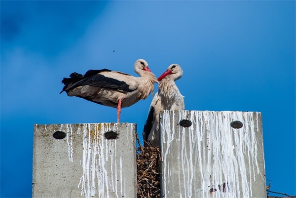 关于正能量心态励志的句子经典语句 好心态的句子正能量短句