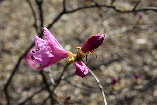 幸福平淡生活的句子 幸福平淡生活的句子