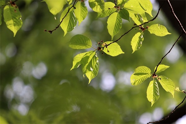 周未正能量的句子