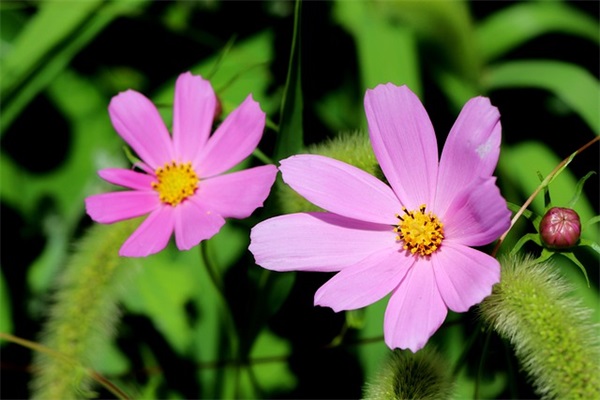 情侣之间决裂的句子 情侣公开的简短句子 情侣之间决裂的句子 情侣公开的简短句子