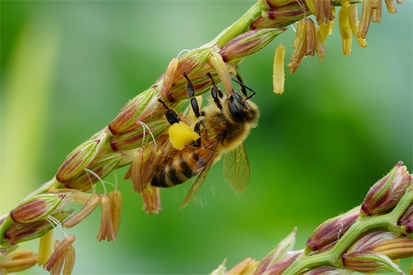 跟宝贝晚安的暖心句子 跟宝贝早安的暖心句子 跟宝贝晚安的暖心句子 跟宝贝早安的暖心句子