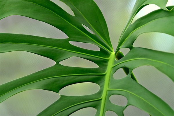 初三励志的句子86句