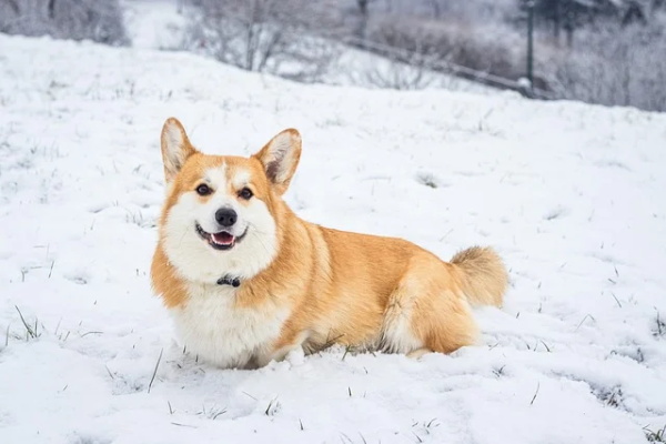 拼搏努力正能量的句子 关于励志的句子