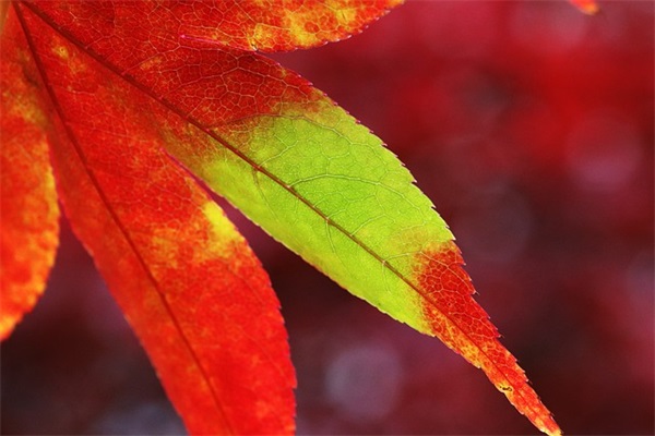 关于温暖幸福的句子