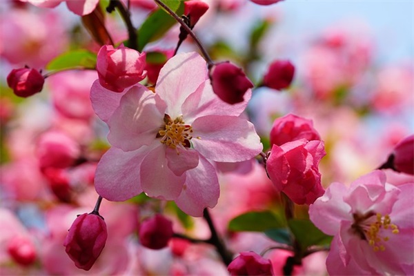 关于励志心情句子80句 关于励志心情句子80句