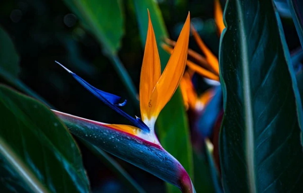 关于思念好朋友的句子