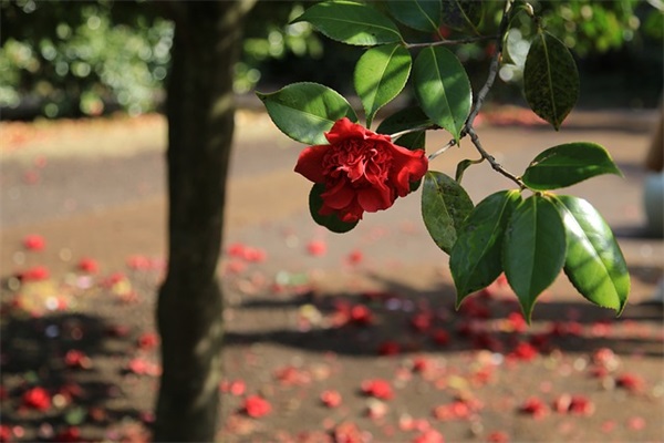 祝小孩周岁祝福语44句