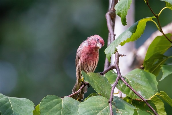 祝朋友生日快乐的简短 朋友生日祝福语