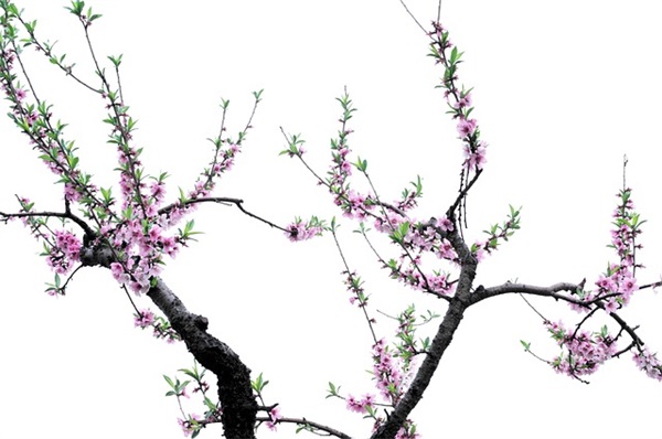 搞笑高温祝福语33句