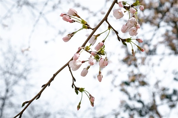 祝福高考生金句 祝福高考生的祝福语