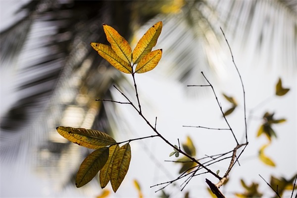 恭喜开业祝福语大全