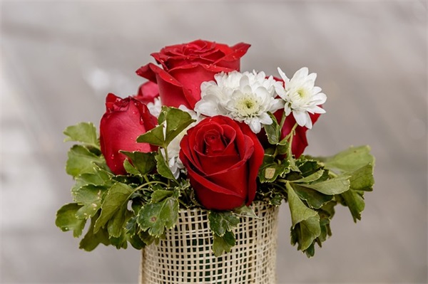 2026年给长辈的新年祝福语 给长辈的新年祝福语