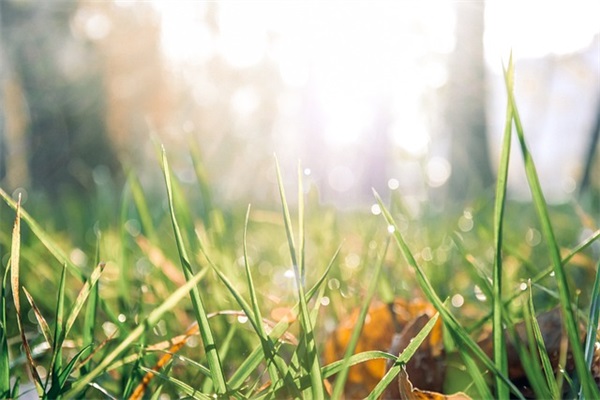 端午节美好祝福语精选2026