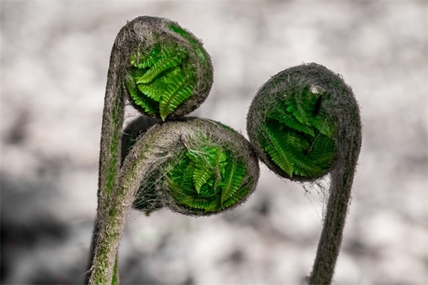 生日最美好的祝福语 自己生日祝福语