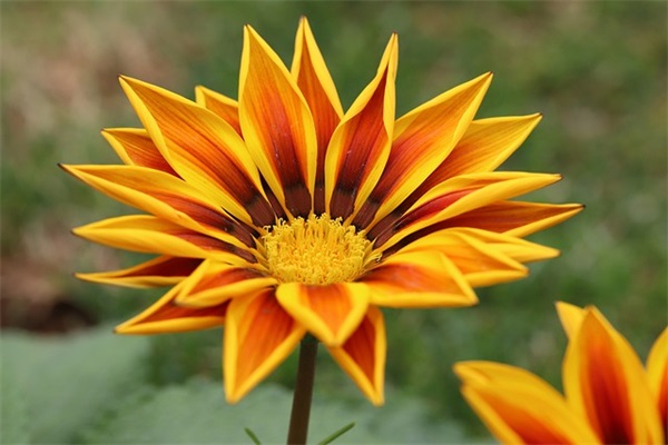 对母亲的祝福语英语