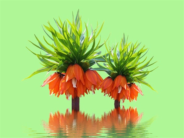 精选暖心元旦祝福语短信 精选暖心元旦祝福语短信