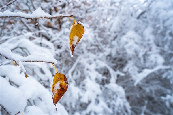长短句得体生日祝福语 长短句得体生日祝福语