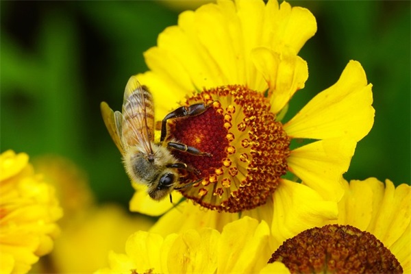 宝贝上学祝福语50句