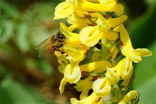 生日贺卡祝福语简短 生日快乐祝福语简短