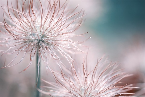 2026中秋国庆双节送祝福问候语