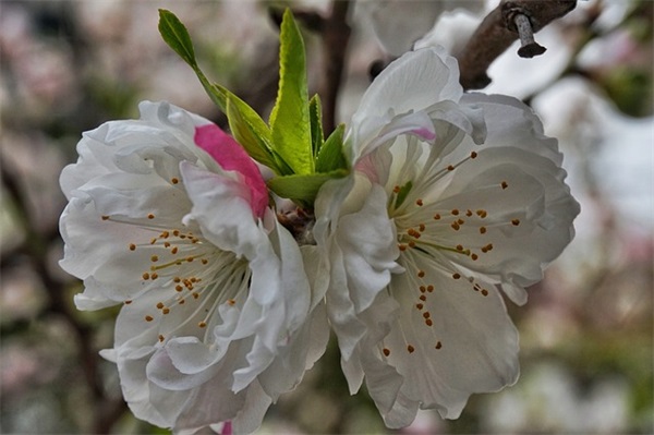 金秋十月的祝福语46句