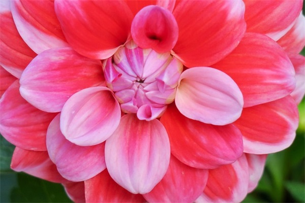 新年即将到来的祝福语 2026新年贺词简短