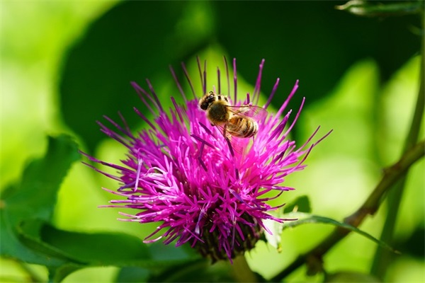 2026年晚辈生日祝福语53句