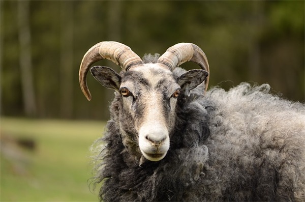 高大上生日祝福语45句