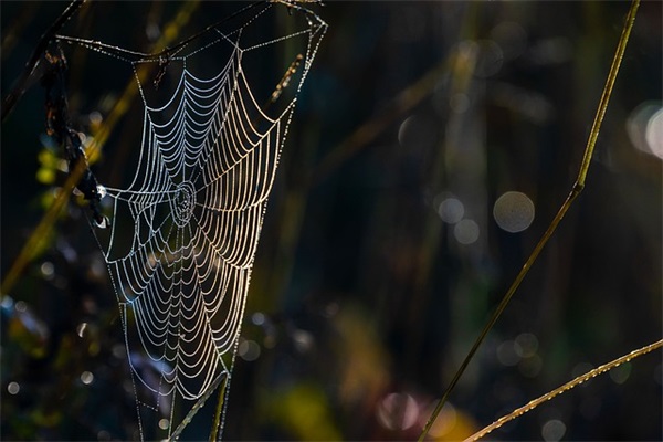 生日最美的祝福语 唯美生日祝福语