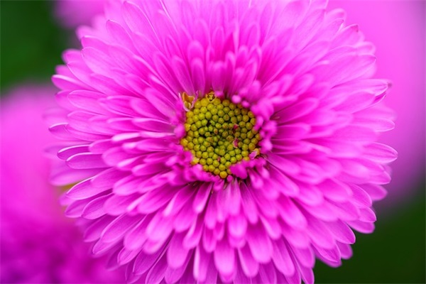 给爱人新年祝福语2026年41句