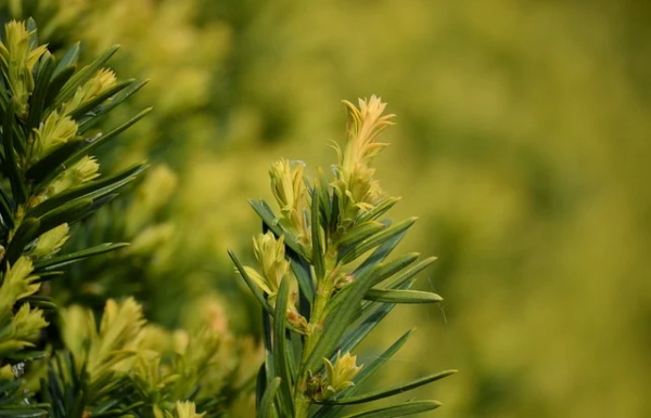 让老公感动会哭的生日祝福语