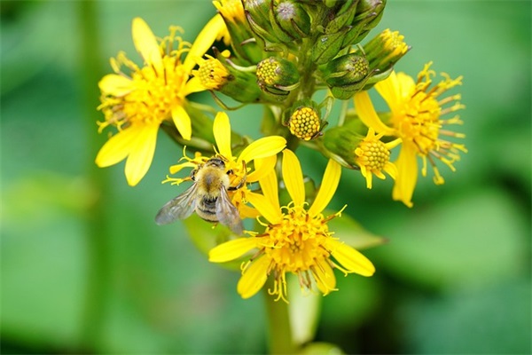 对孩子的英文祝福语