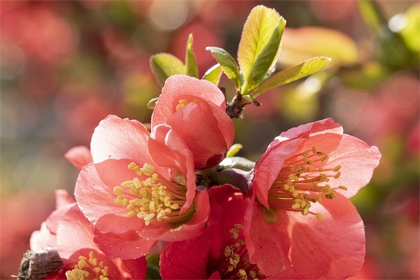 父母对孩子祝福语37句