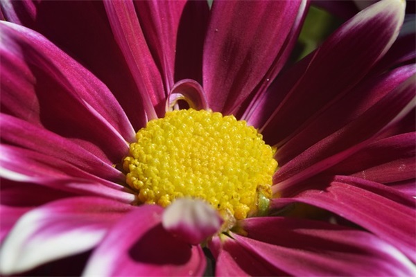 结婚贺卡祝福语英文