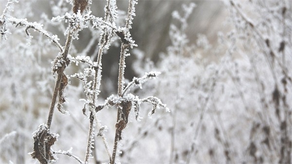 关于爱的好句好段