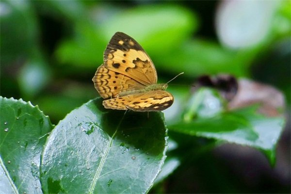 悲伤心情释放的好句 关于悲伤心情的好句 悲伤心情释放的好句 关于悲伤心情的好句