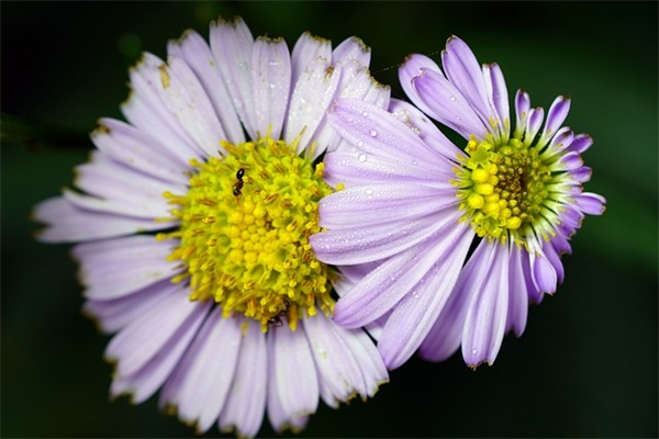 描写青春的好句好段