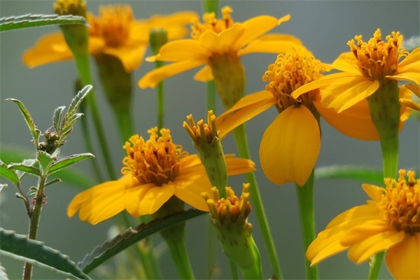 劳动节最新2026好句好段