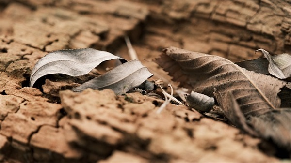 形容山水的句子大全 形容山水的句子大全