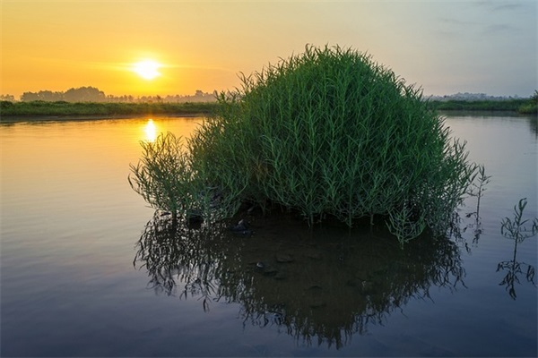 祝福生意兴隆的好句子 祝福生意兴隆的句子 祝福生意兴隆的好句子 祝福生意兴隆的句子